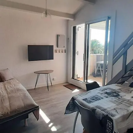 Appartement cosy avec terrasse proche plage Saint-Cyprien  Extérieur photo
